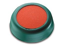 ���� ������ 