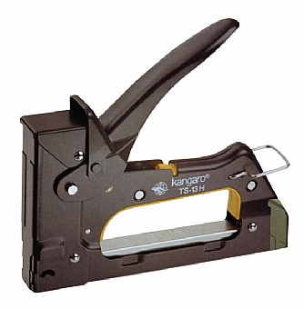 ���� �����