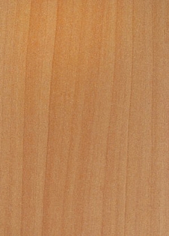 ��� ����� ��� �����-5655