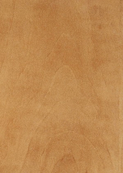 ��� ����� ��� ����-565