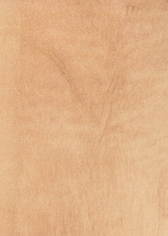 ��� ����� ��� ����-5650