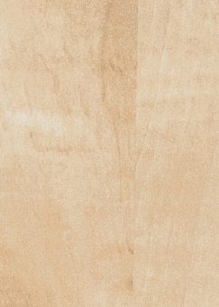 ��� ����� ��� �������-5646