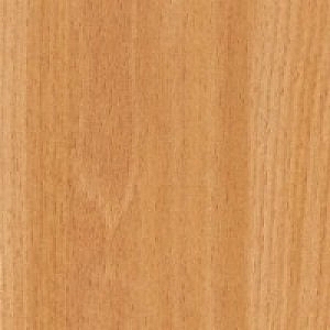 ��� ����� ���-5950