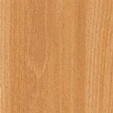 ��� ����� ���-5950