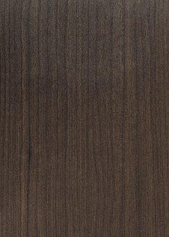 ��� ����� �����-5181