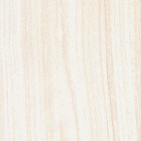 ��� ����� ����� �����-5600