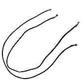 ����� ������ �����